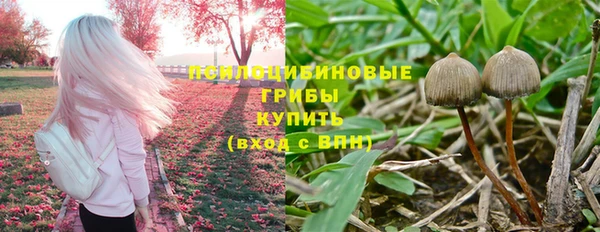 МДМА Дмитров