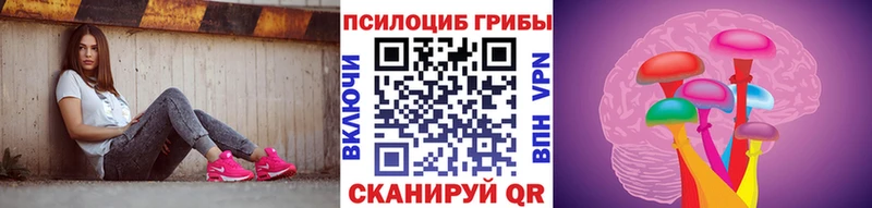 Псилоцибиновые грибы Magic Shrooms  Купить  Краснотурьинск 
